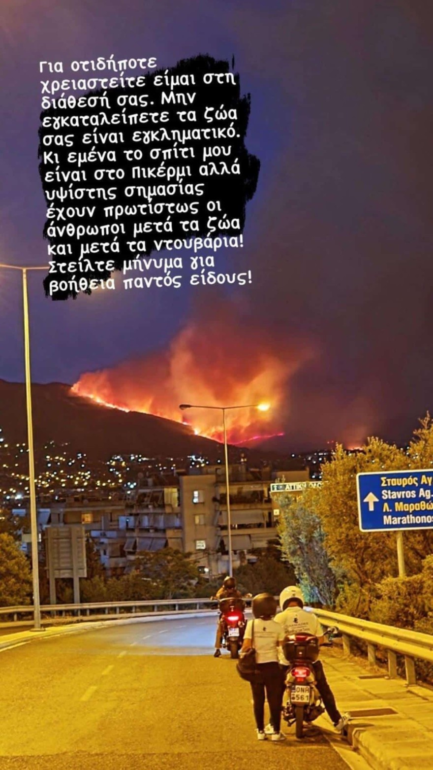 Δήμητρα Κατσαφάδου για φωτιά στην Πεντέλη 