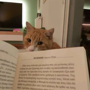 Άντα Λιβιτσάνου