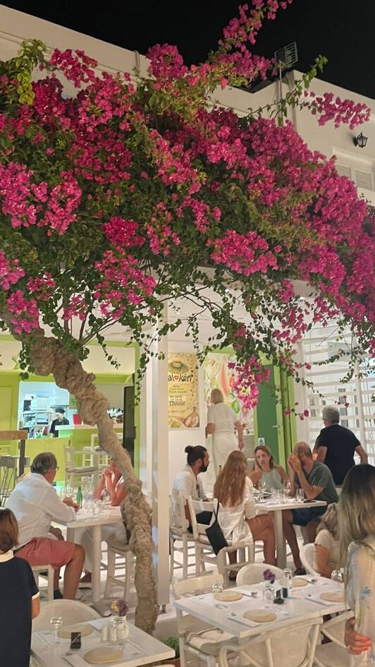 Δέσποινα Βανδή Αντίπαρο 