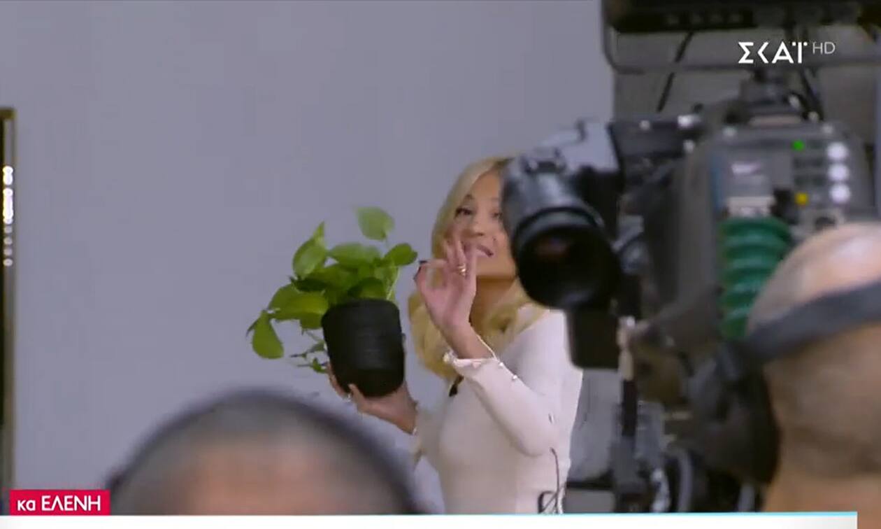 Φαίη Σκορδά γρουσούζικο φυτό 