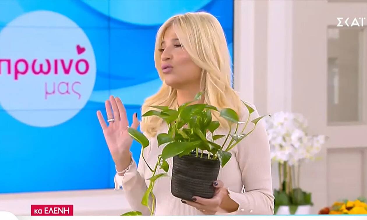 Φαίη Σκορδά γρουσούζικο φυτό 