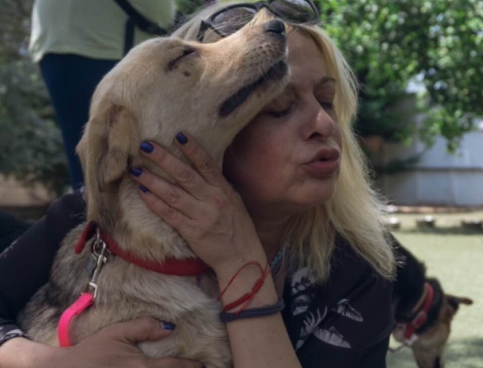 Τζόυς Ευείδη