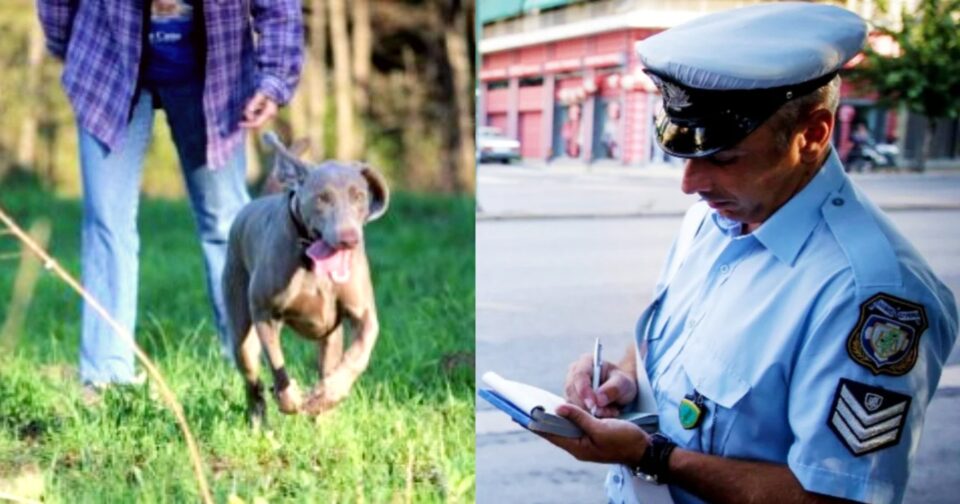 Τσουχτερά πρόστιμα: Ασυνείδητοι έκαναν βόλτα τον σκύλο τους χωρίς λουρί και έφαγαν "βαριές" καμπάνες