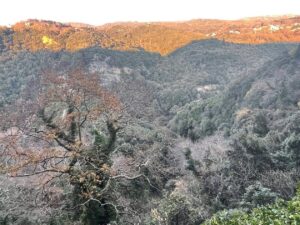 Μαρία Μπακοδήμου