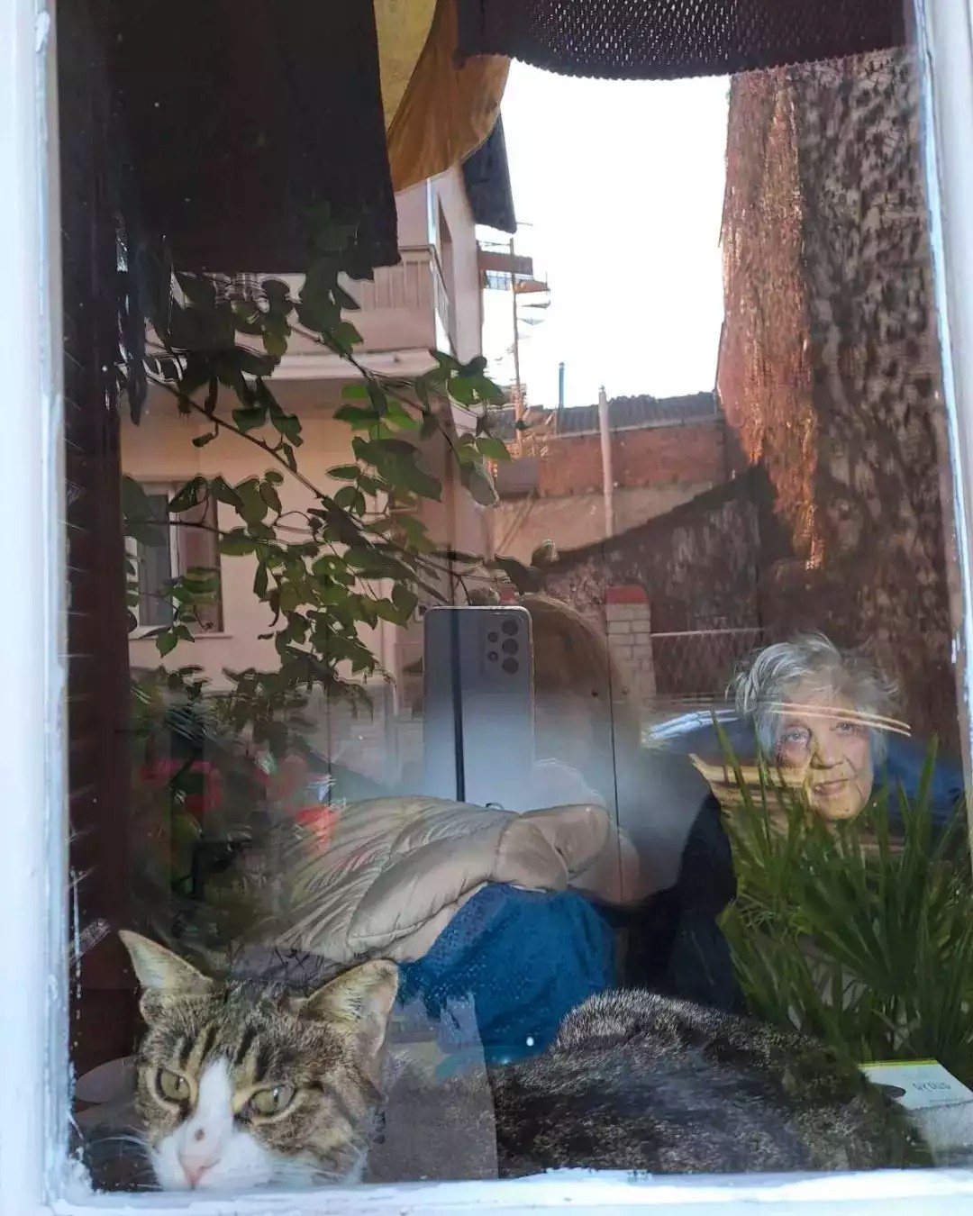 Ελένη Τσαλιγοπούλου